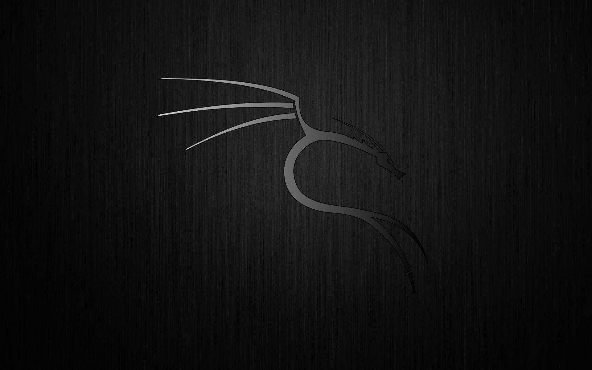 Kali Linux Matte Dragon Background