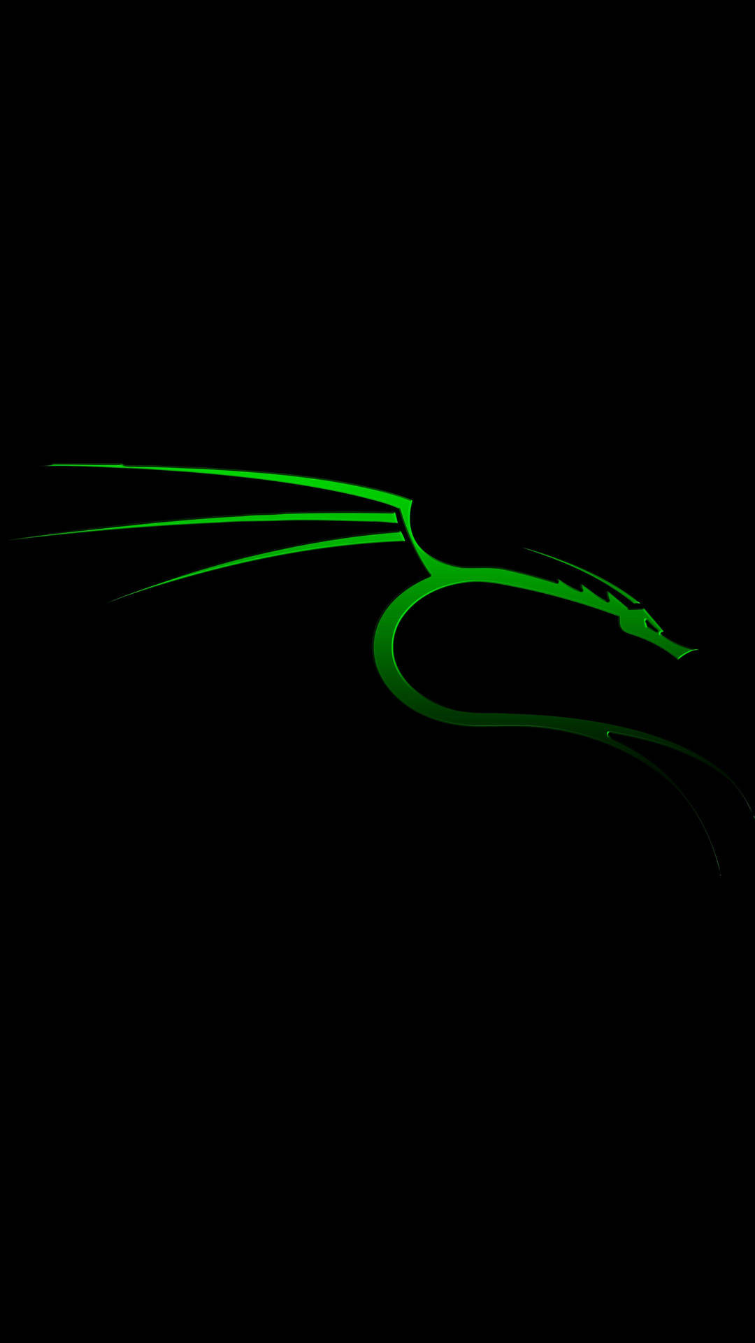 Kali Linux Neon Dragon Background