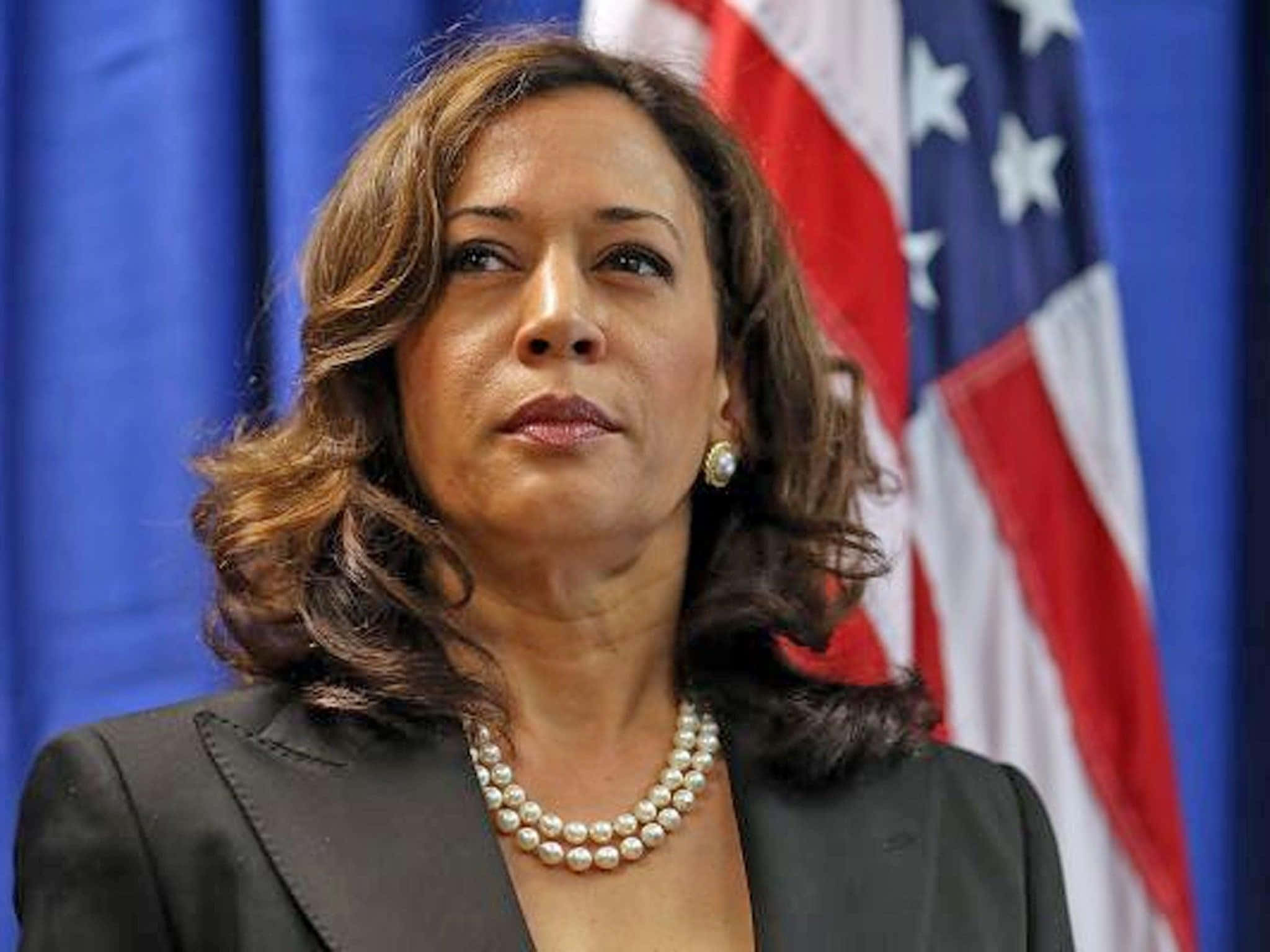 Vice President Kamala Harris Smiling in Official Portrait