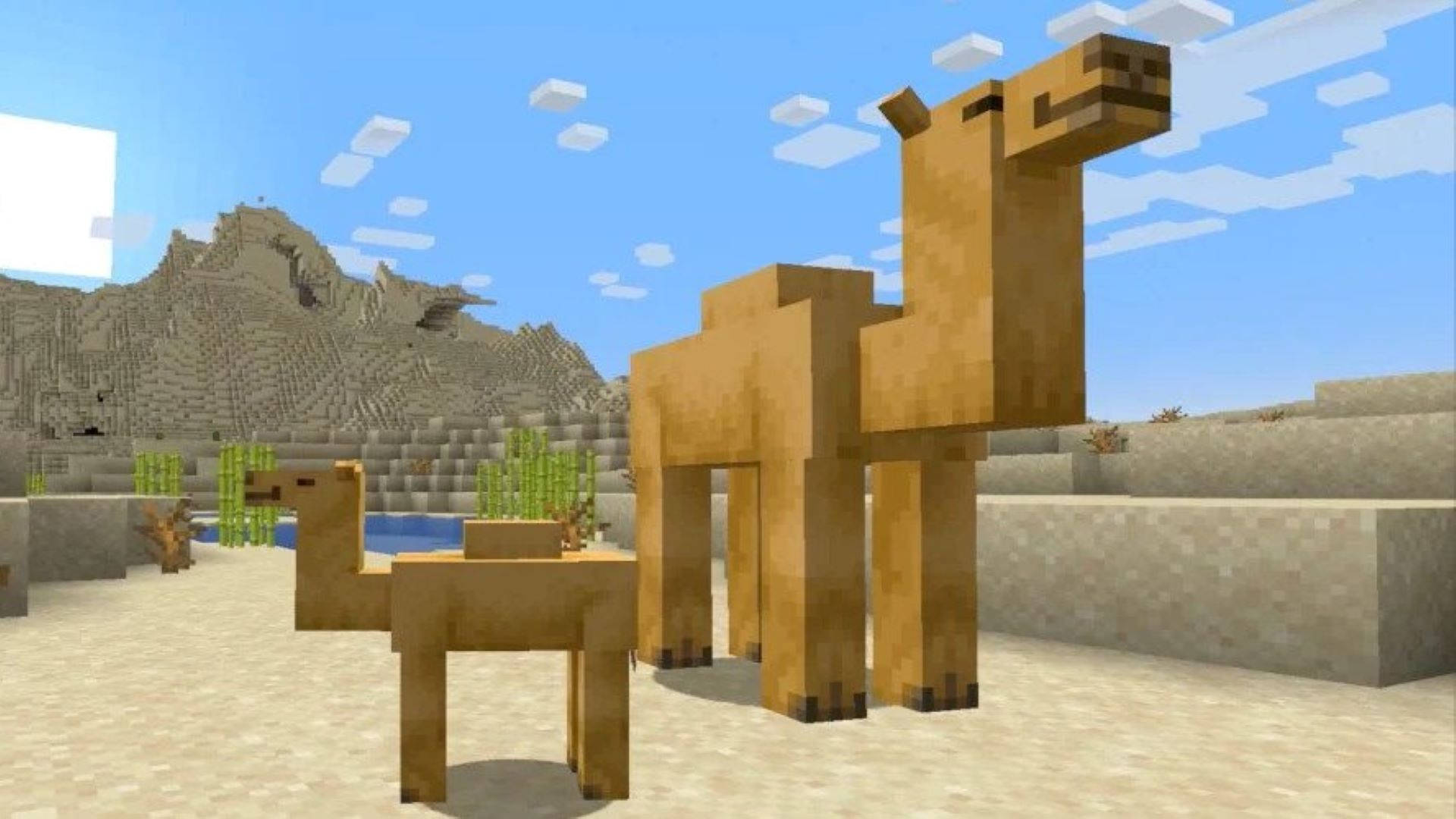 Kameler I Ørkenen Minecraft Hd Wallpaper