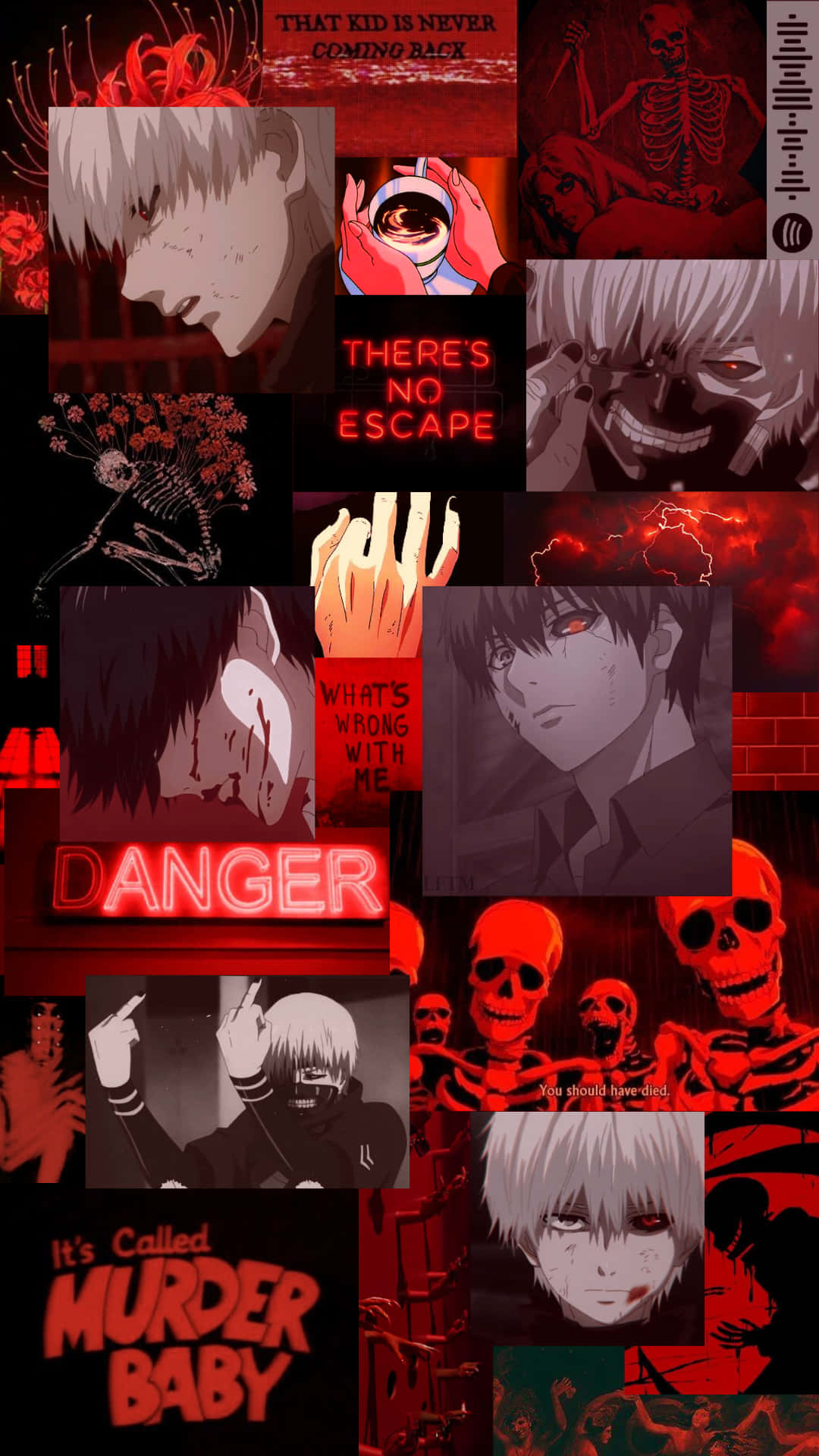 Get the Best of Both Worlds with Kaneki Phone Wallpaper