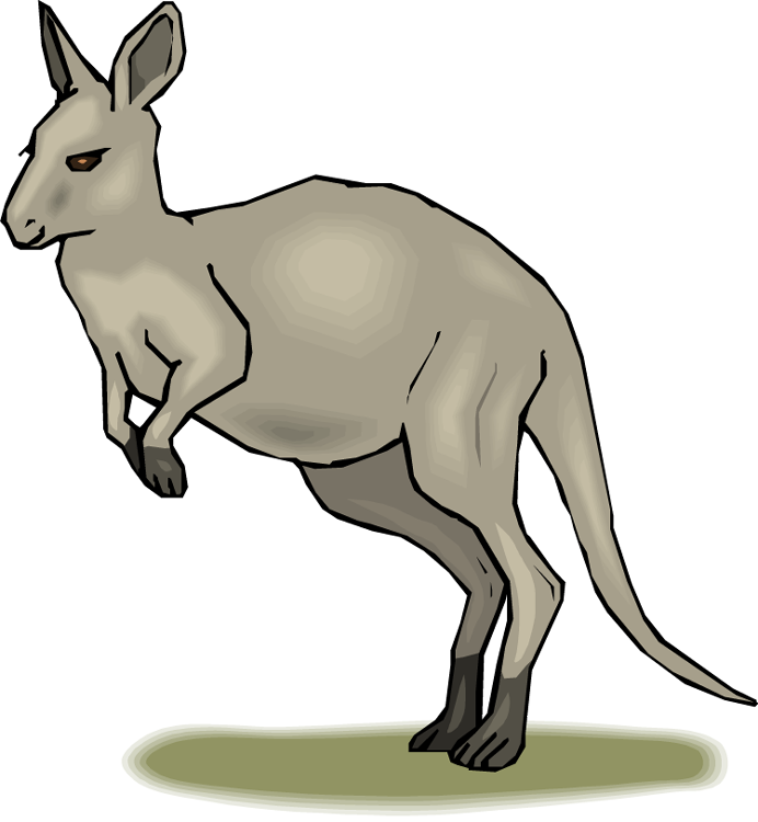 Kangaroo Cartoon Illustration PNG