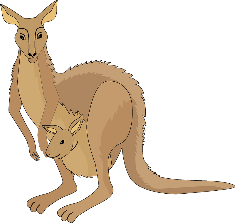 Kangarooand Joey Cartoon PNG