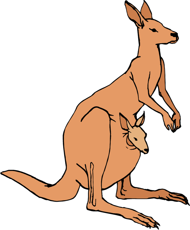 Kangarooand Joey Illustration PNG