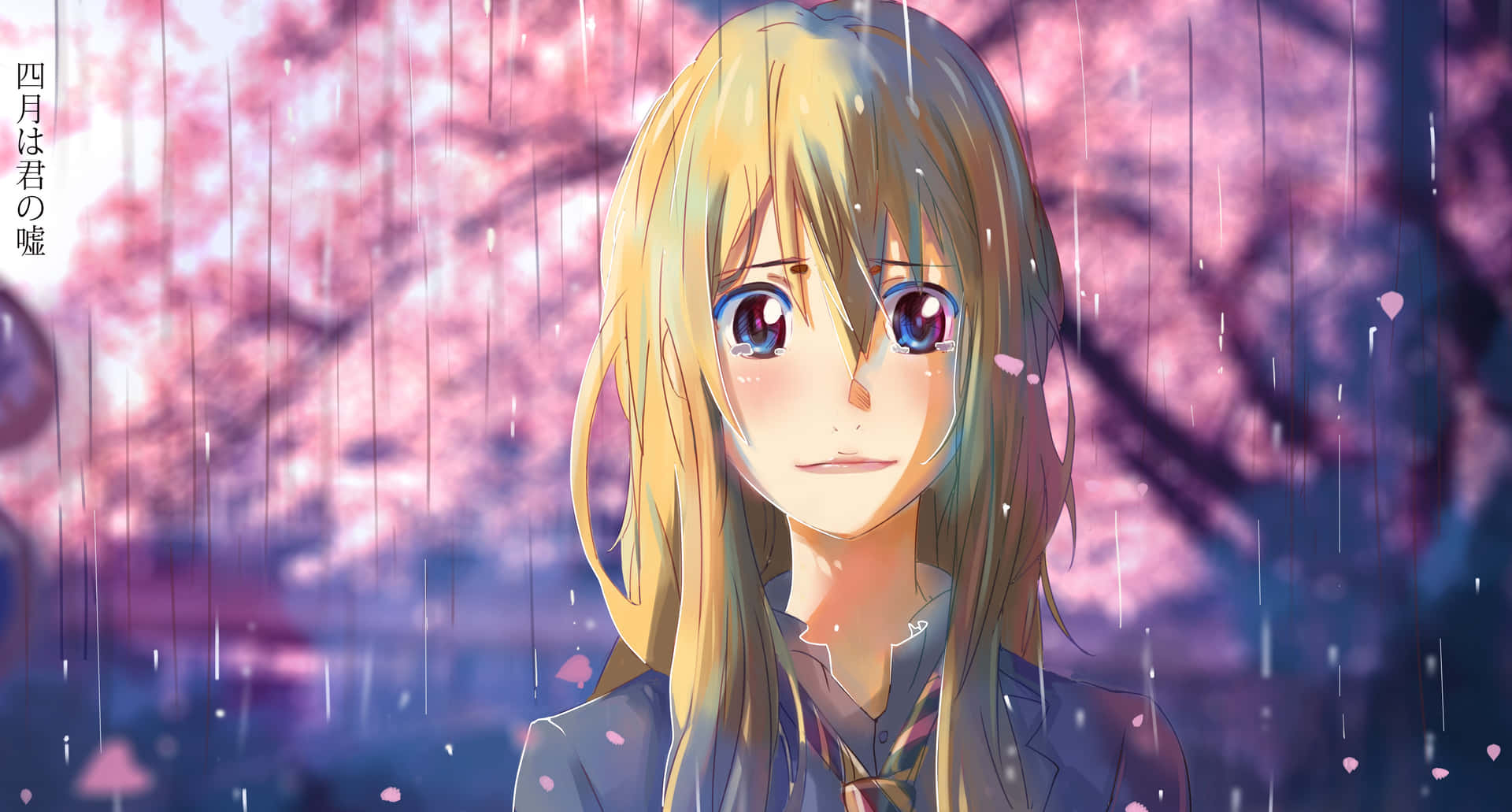 Kaori Miyazono Décor De Cerisiers En Fleurs Fond d'écran