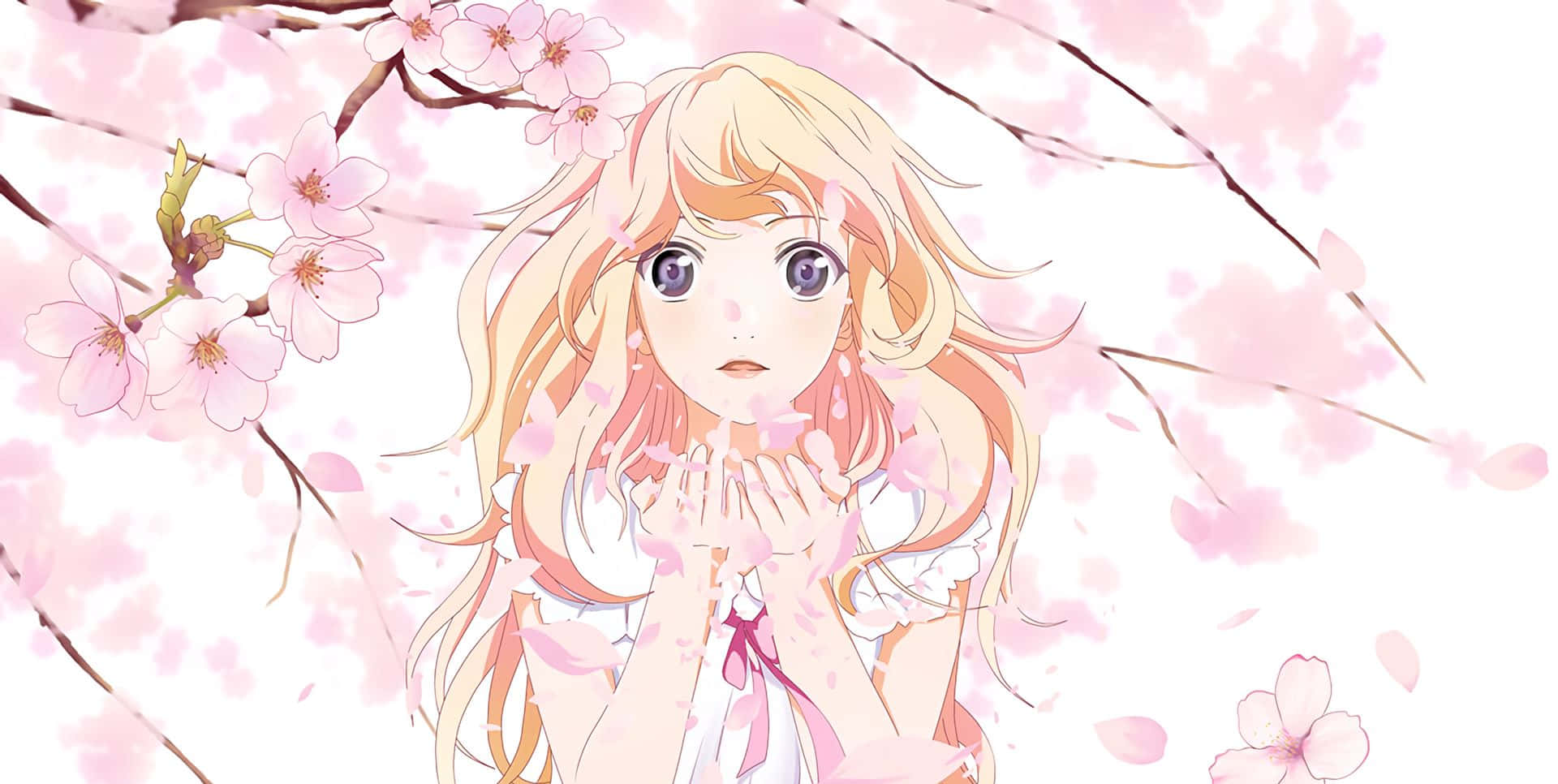 Kaori Miyazono Fleurs De Cerisier Fond d'écran