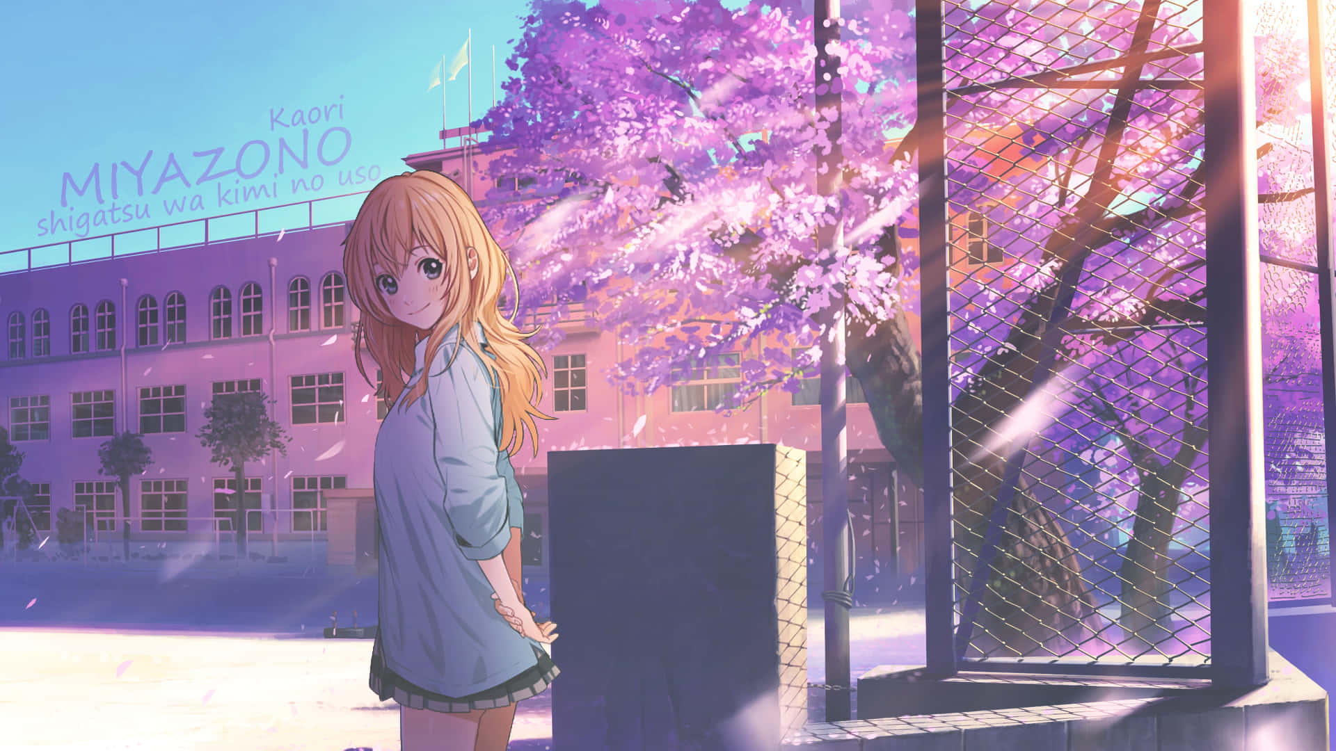 Kaori Miyazono Sakura De Cour D'école Fond d'écran