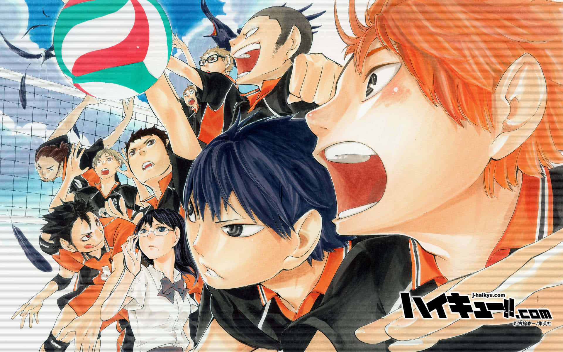 HD wallpaper: hinata shouyo, haikyuu, volleyball, anime, group of people