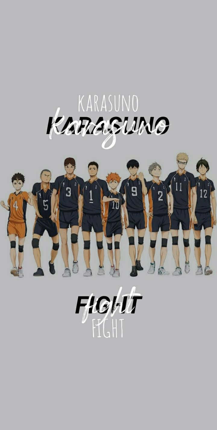 Karasuno Volleyball Team Haikyuu Wallpaper