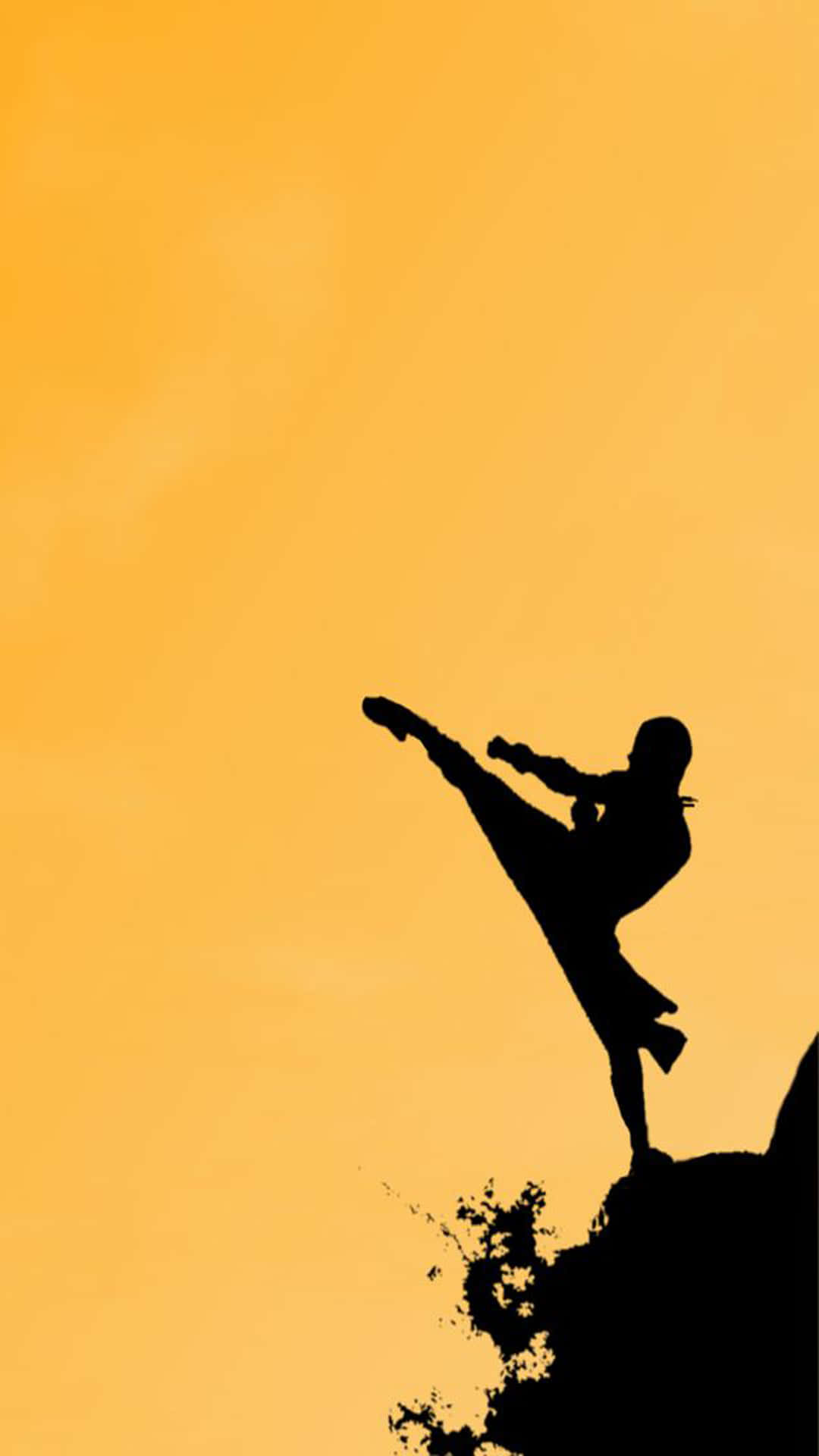 A Silhouette Of A Man Doing A Martial Kick