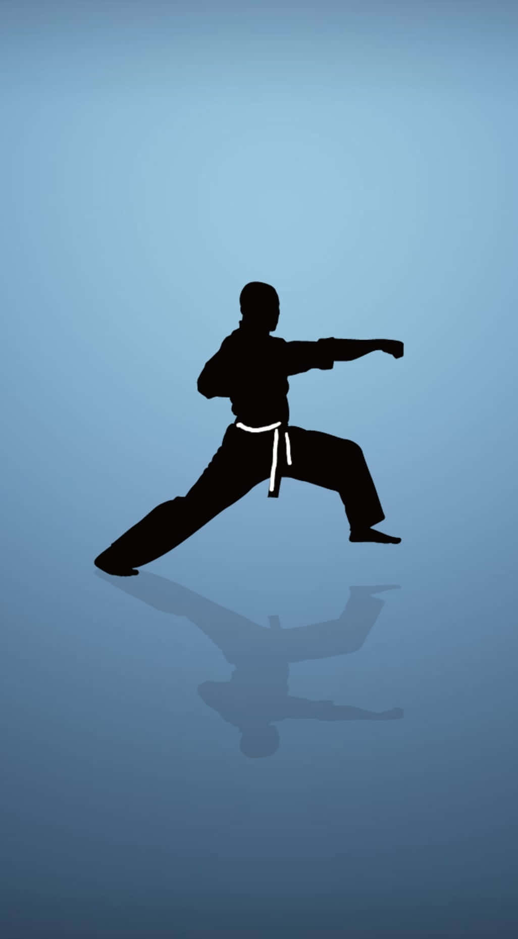 A Silhouette Of A Karate Man Doing A Kick