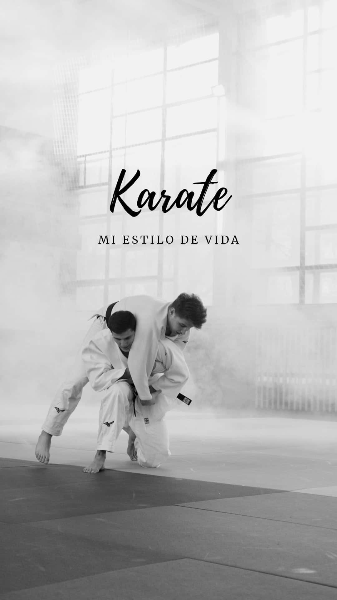 Karateo Meu Estúdio De Vida