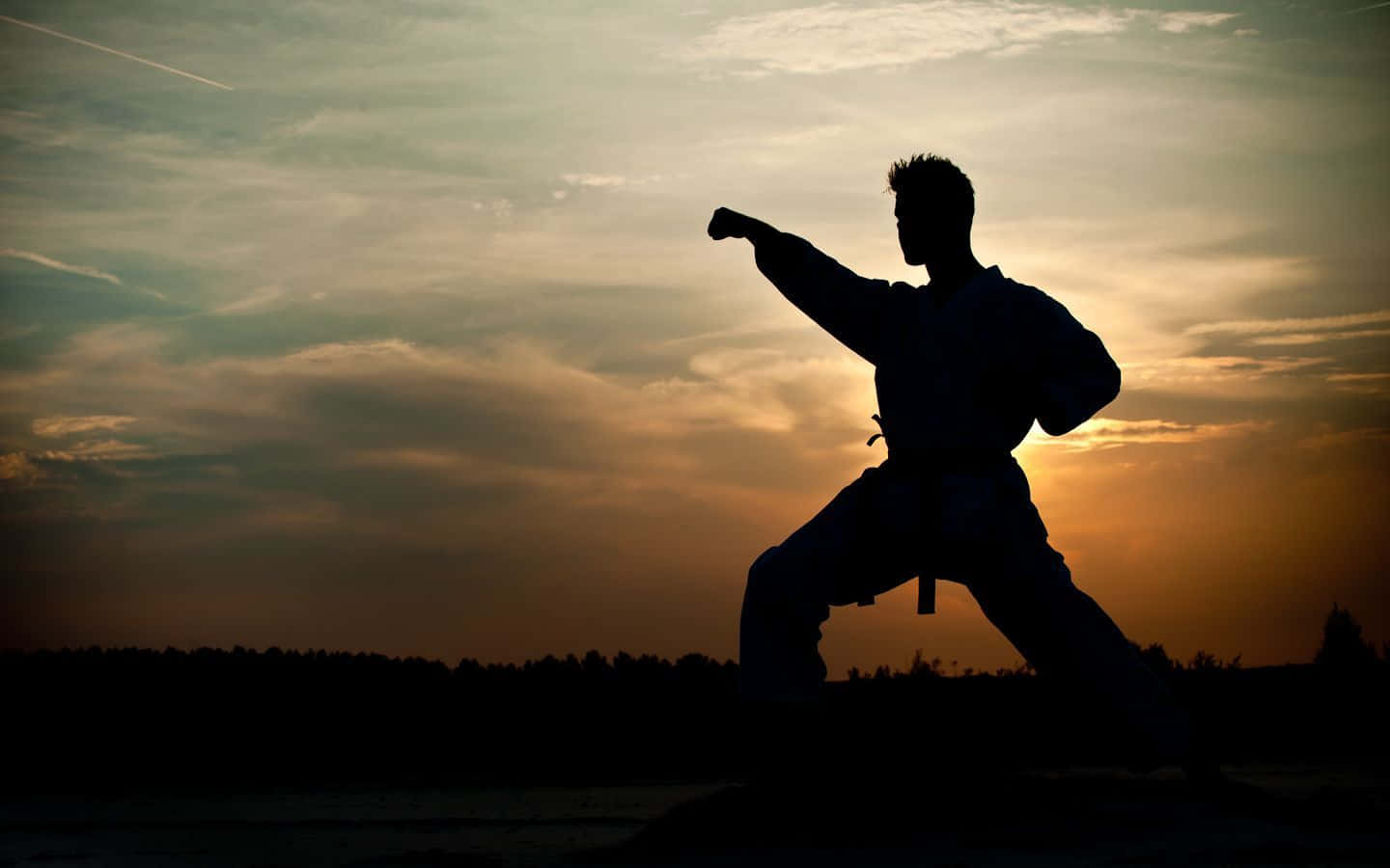 Utmanadina Färdigheter Till Det Yttersta Med Karate