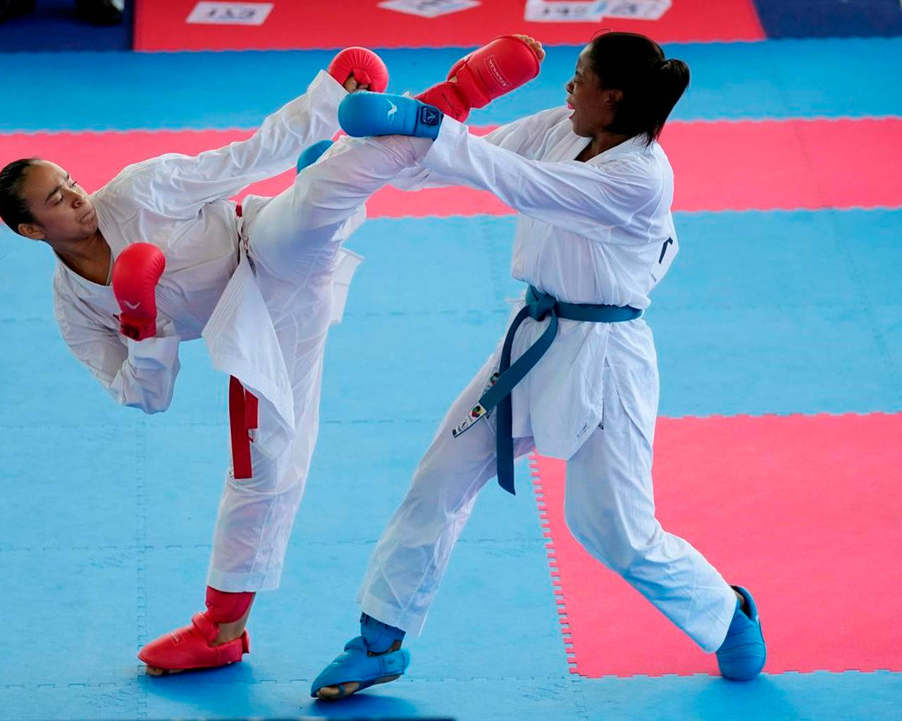 Blue Belt vs Red Belt Karate Duel Wallpaper