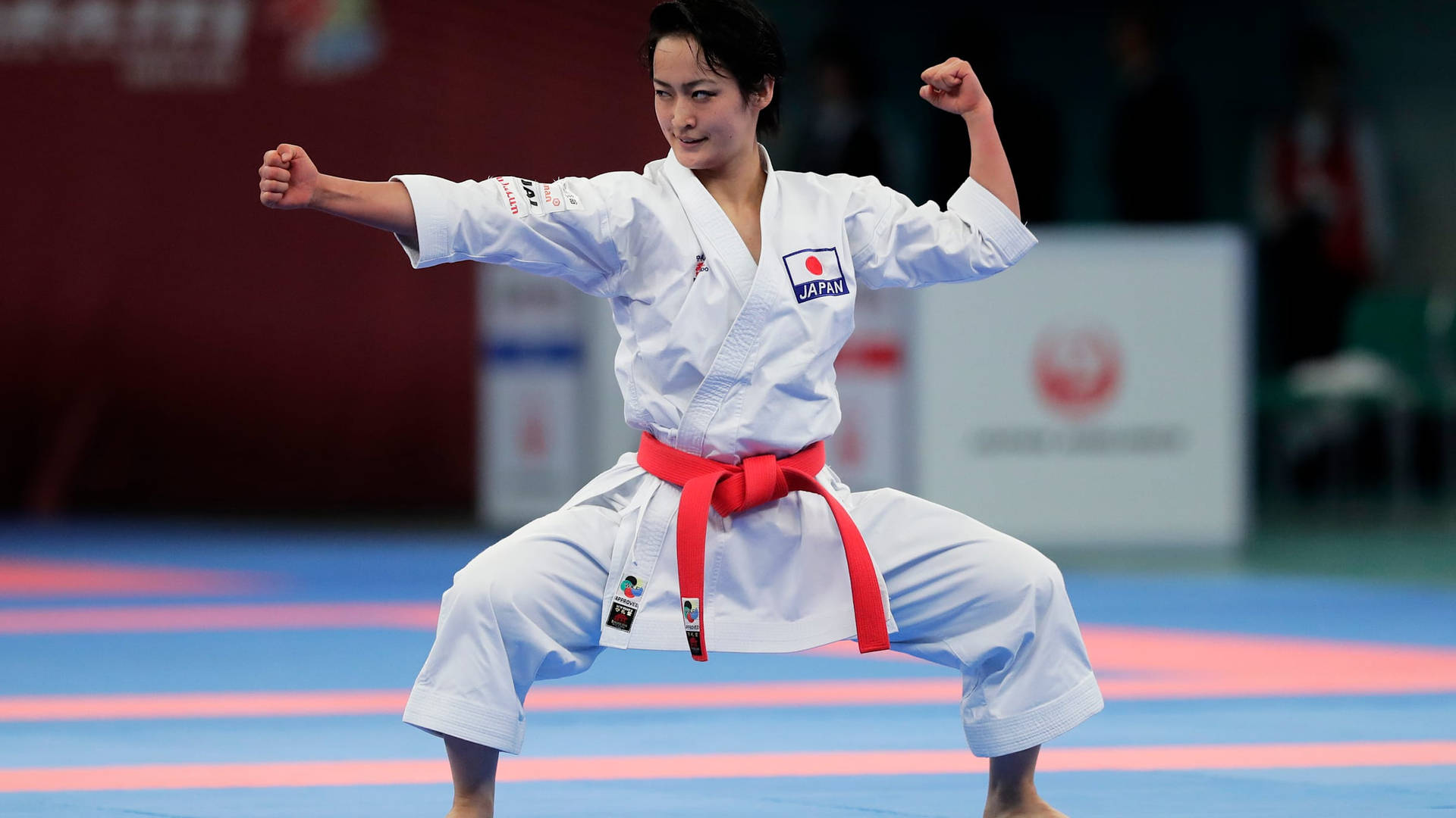 Karate,posizione Di Combattimento Di Kiyou Shimizu. Sfondo