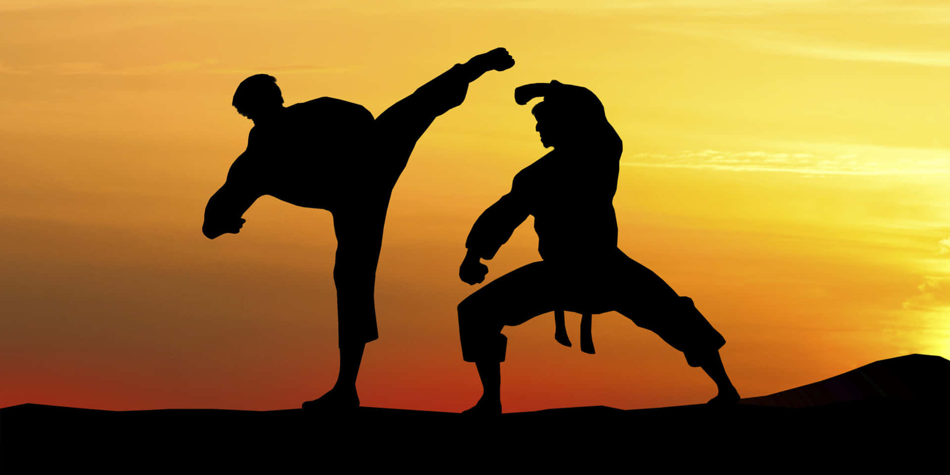 Tvåpersoner Som Utövar Karate Vid Solnedgången