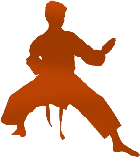 Karate Silhouette Stance.png PNG