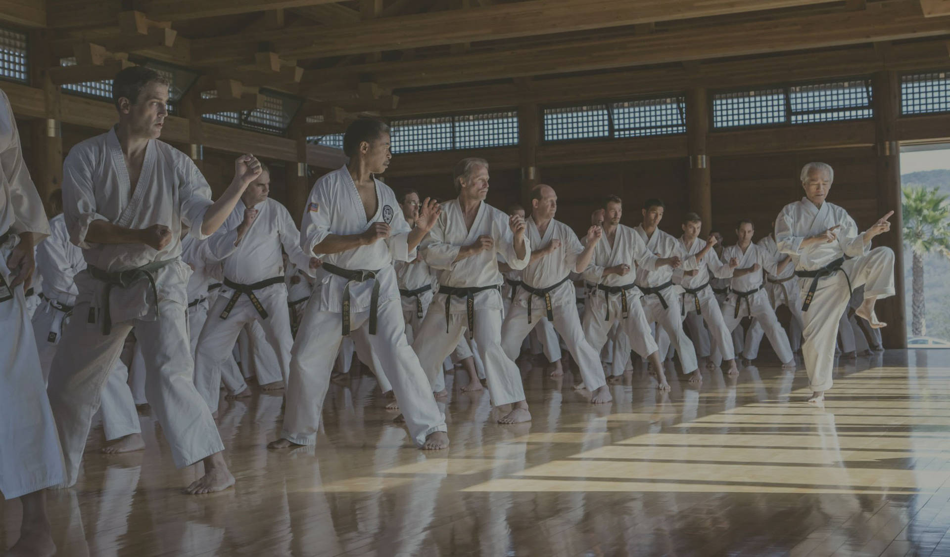Karateschüler Posieren Im Dojo. Wallpaper