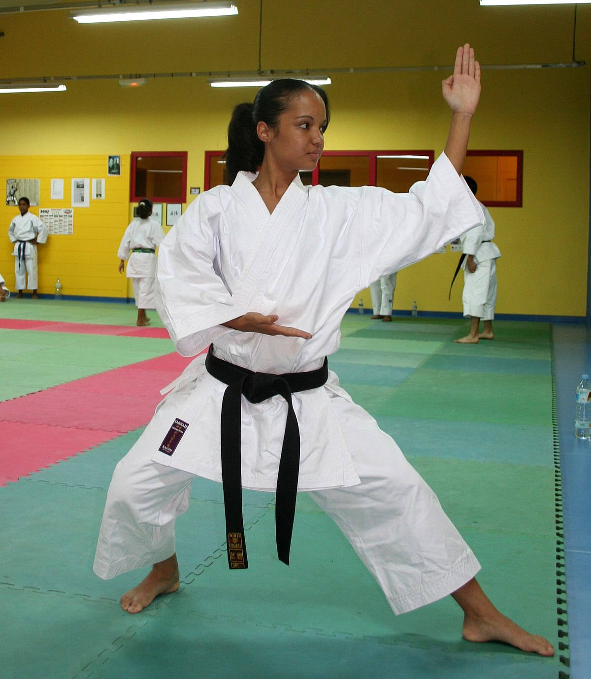 Mujerde Karate En Posición De Combate Fondo de pantalla
