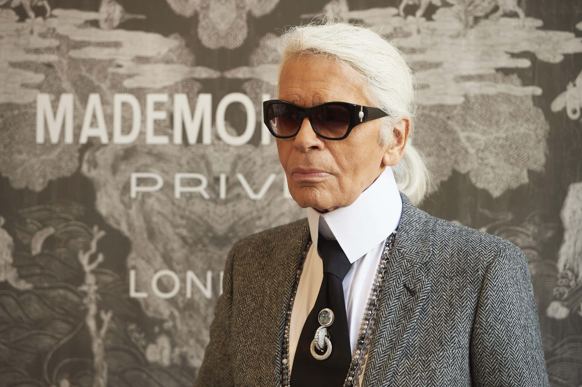 Karl Lagerfeld i jakkesæt og slips Wallpaper