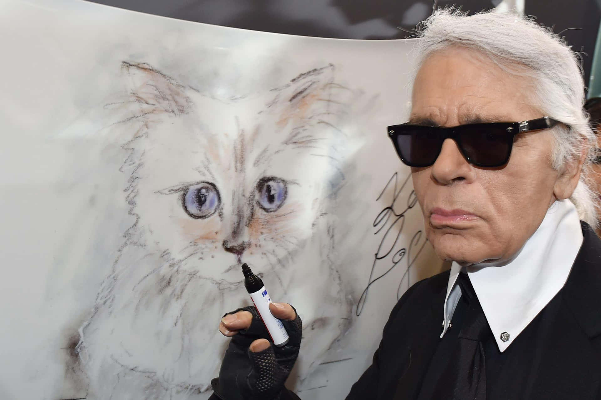 Karl Lagerfeld's Cat Drawing Wallpaper