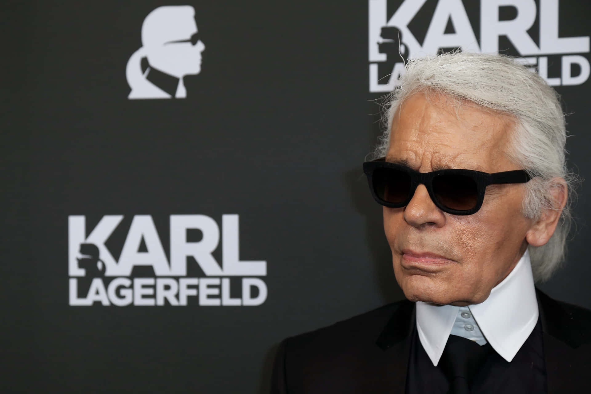 Karl Lagerfeld In Sunglasses At The Karl Lagerfeld Fashion Show Wallpaper