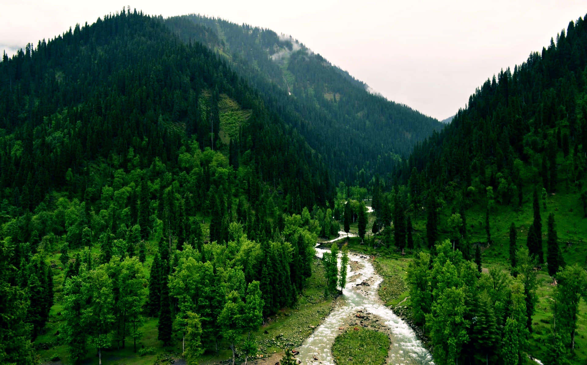 Kashmir_ Valley_ River_ Amidst_ Greenery Wallpaper