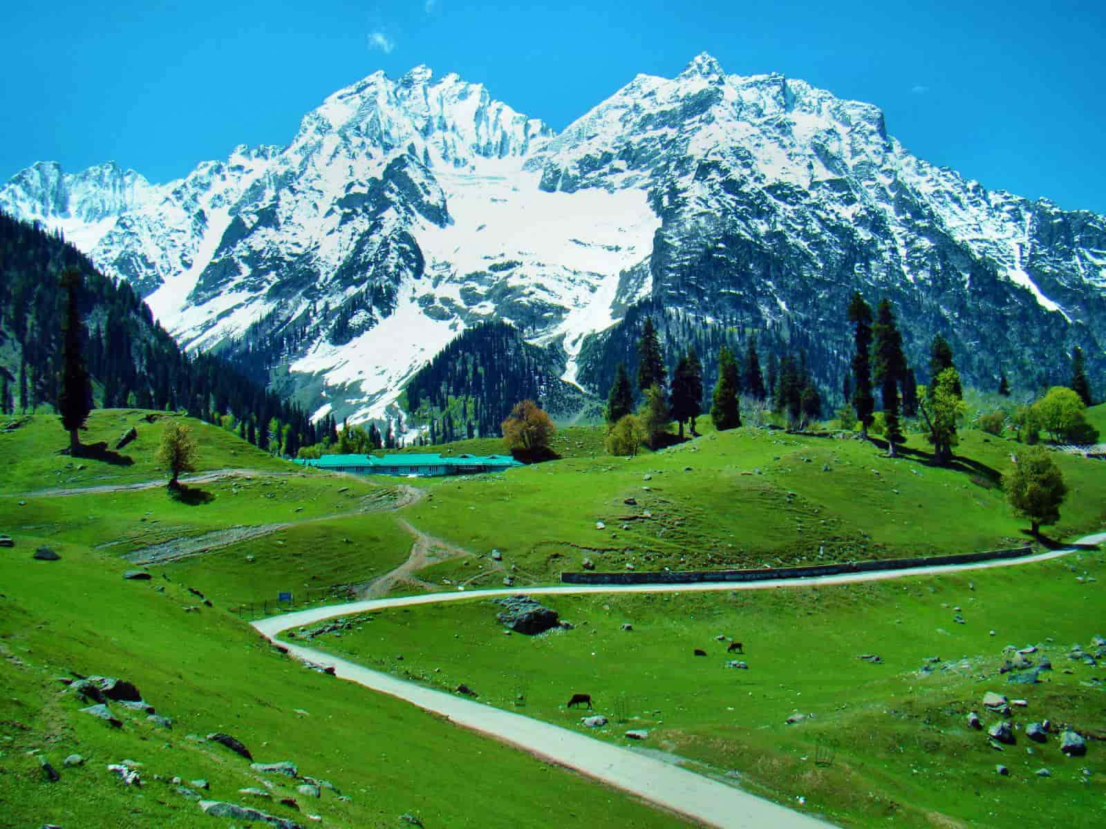 Kashmir_ Valley_ Snowcapped_ Mountains Wallpaper