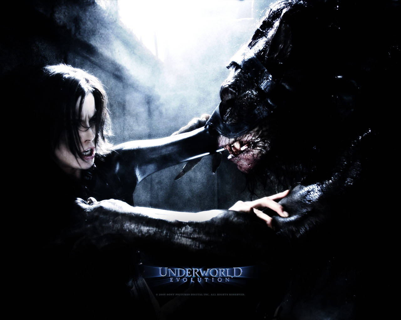 Kate Beckinsale as the Vampire Death Dealer Selene in the Underworld Franchise Wallpaper