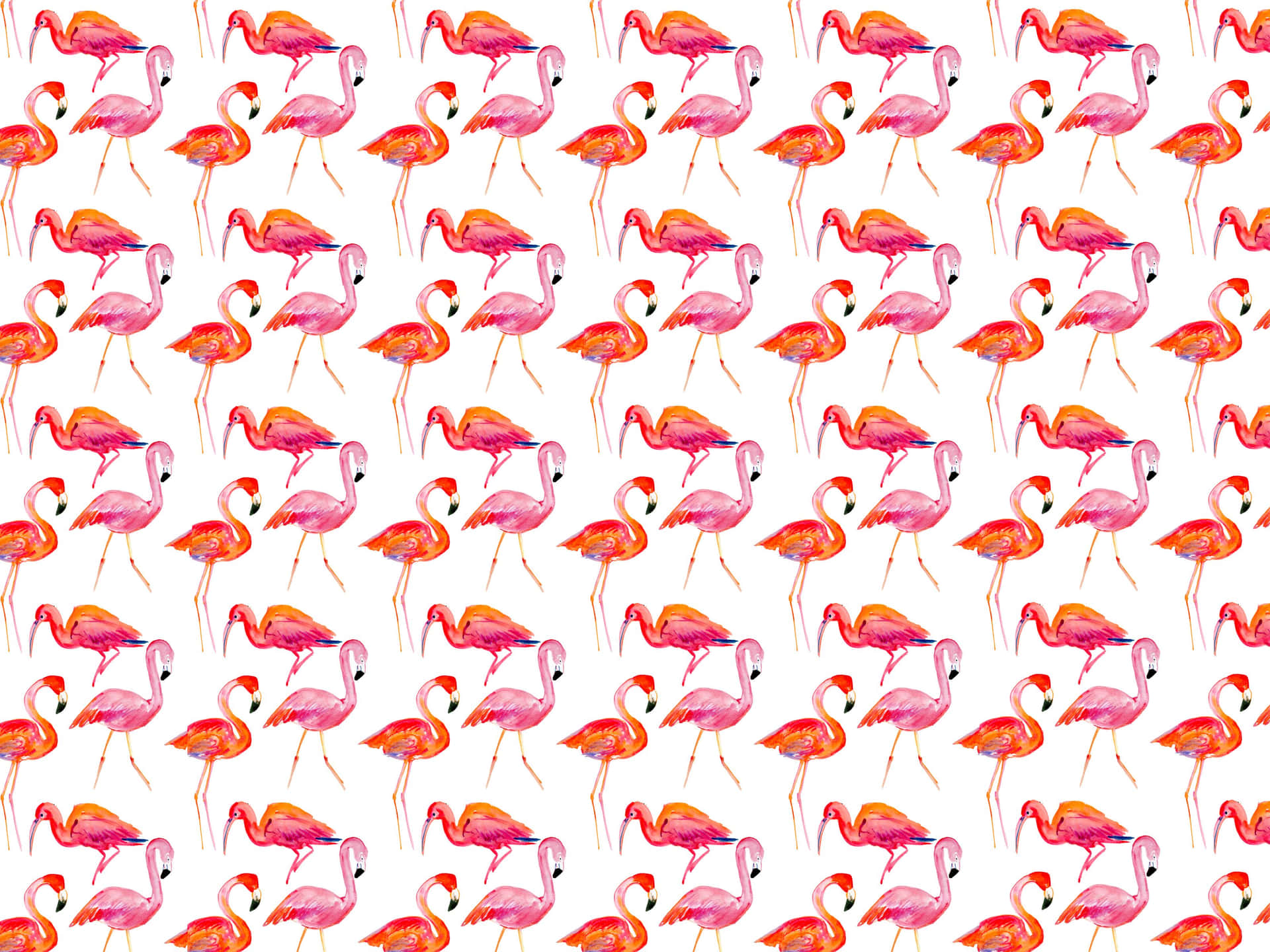 Kate Spade Desktop Flamingo Pattern Wallpaper