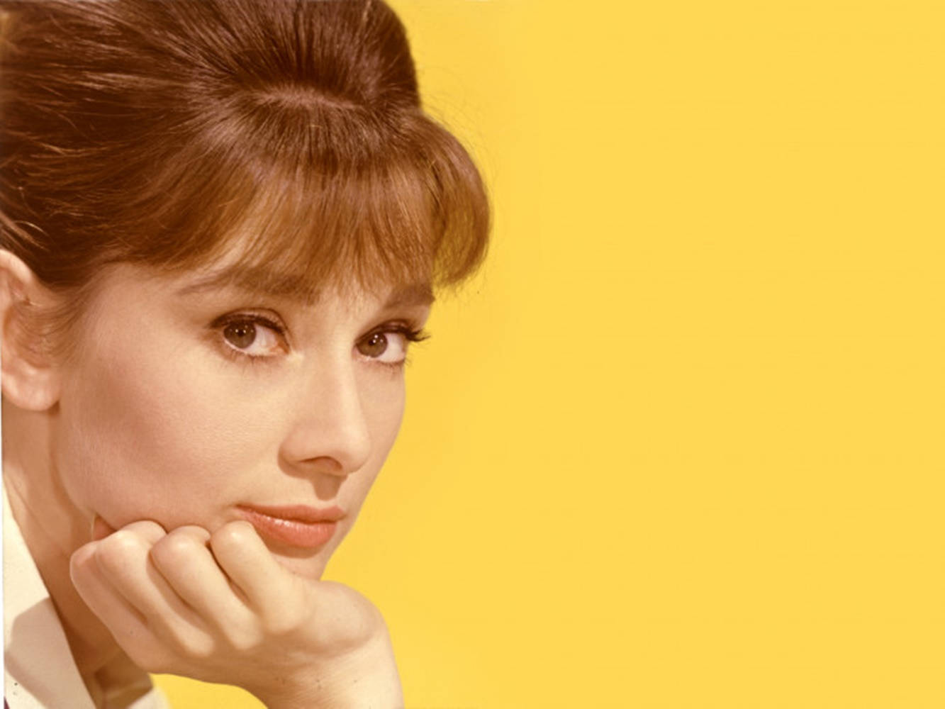 = Katharine Hepburn på en gul baggrund Wallpaper