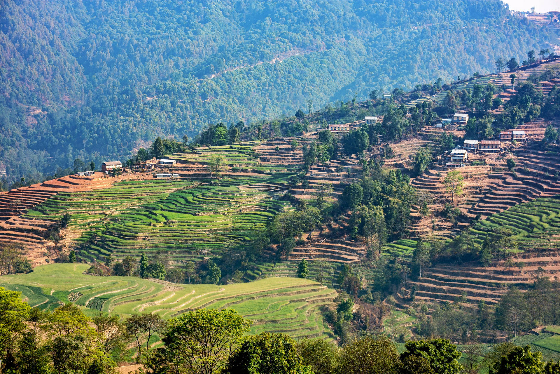 Kathmandu bjerg terrasser et tryk på tapet Wallpaper