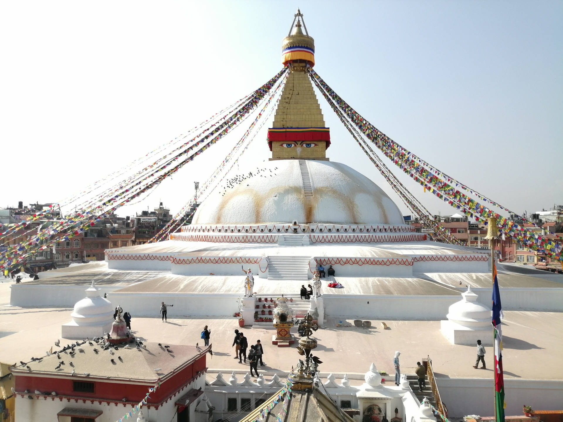 Kathmandupagoda Weiß Kuppel Wallpaper