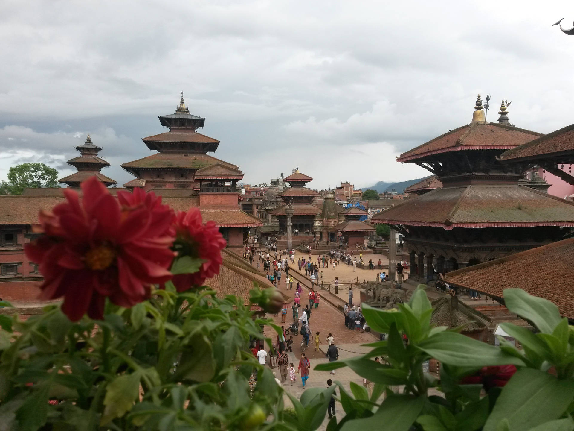Kathmandu Røde Blomster tapet Wallpaper