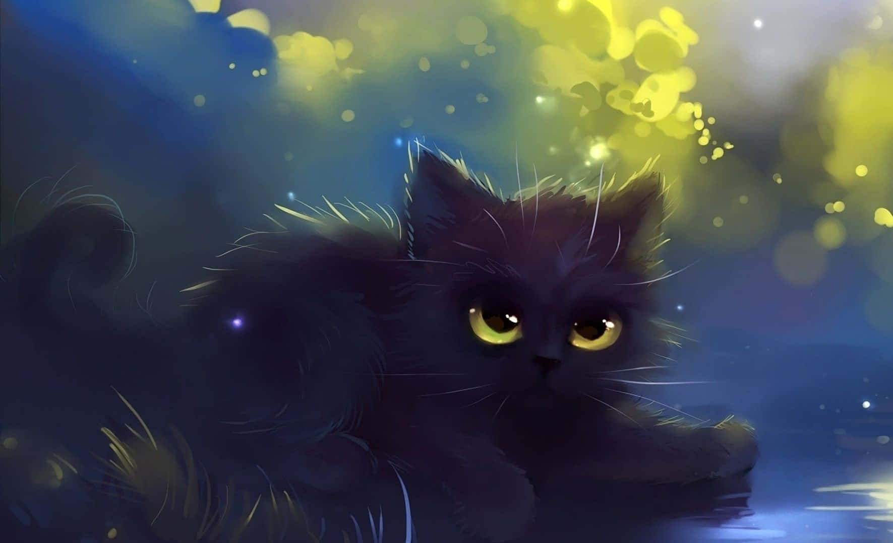 HD two black cats wallpapers | Peakpx