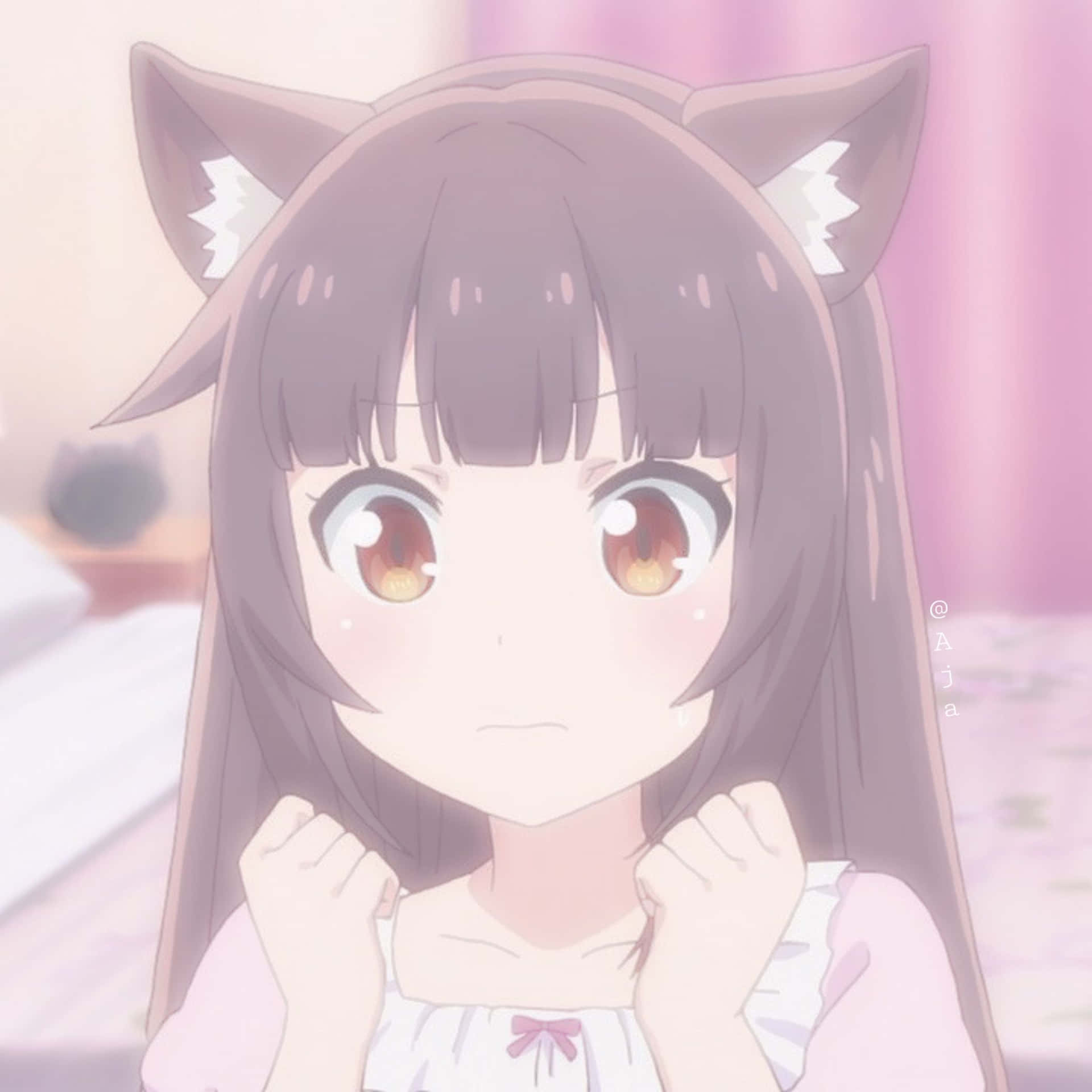 Kawaii Anime Girl With Cat Ears Wallpaper