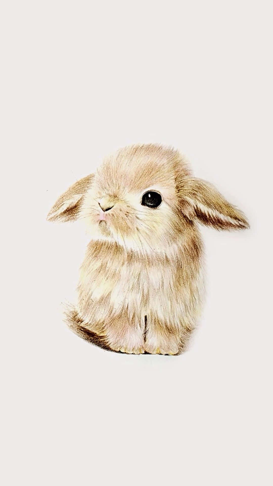 Adorable Kawaii Bunny Illustration Wallpaper