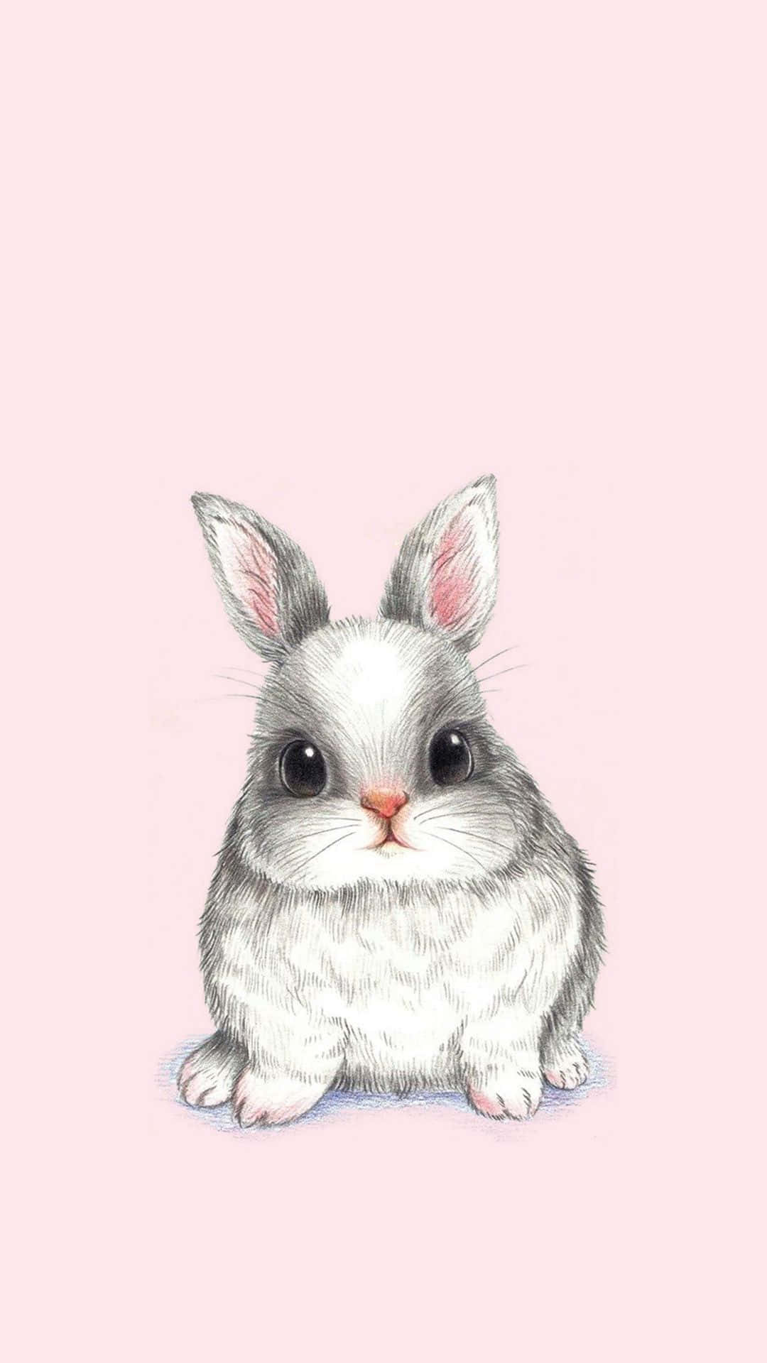 Cuteness at its finest - Kawaii Bunny" Wallpaper