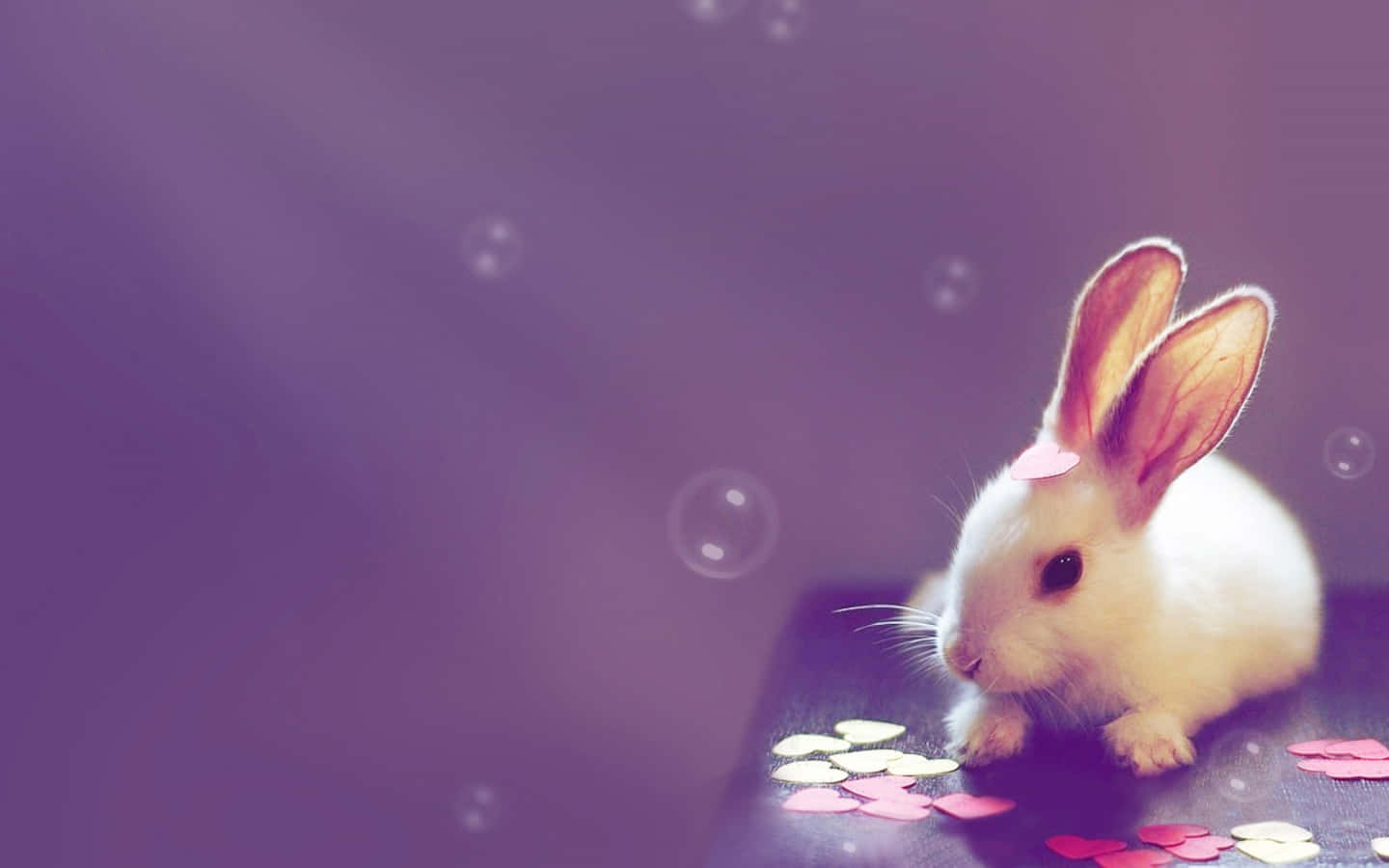 Kawaii Bunny in a Dreamy World Wallpaper
