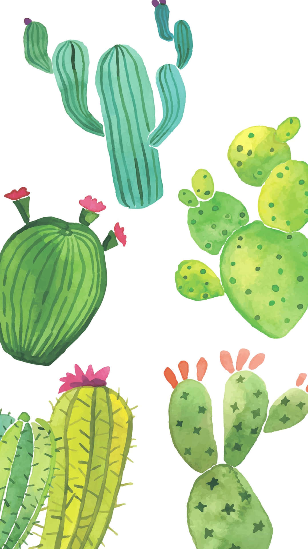 Illustration De Cactus Kawaii Adorable Fond d'écran