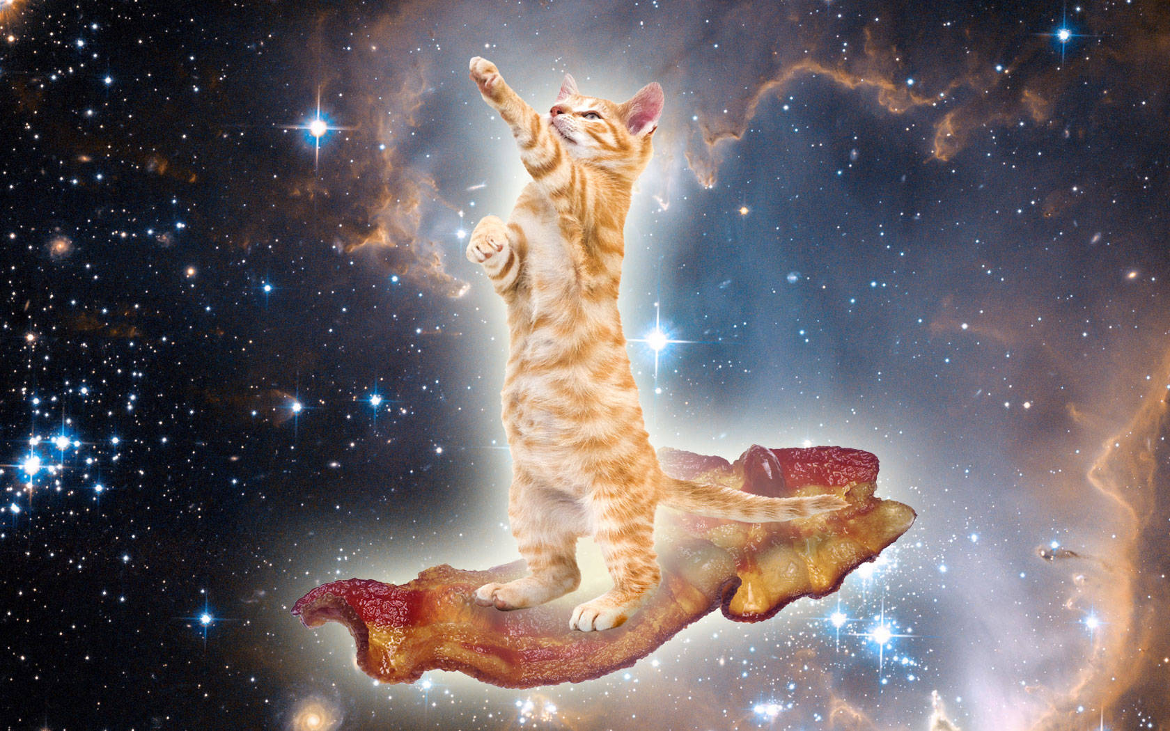 Kawaii Cat On Galaxy Wallpaper