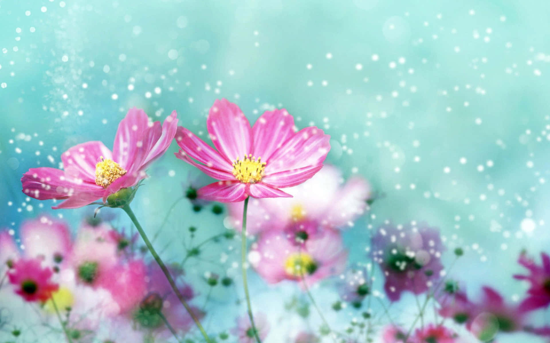Adorable Kawaii Flower Blossoming in Vibrant Colors Wallpaper