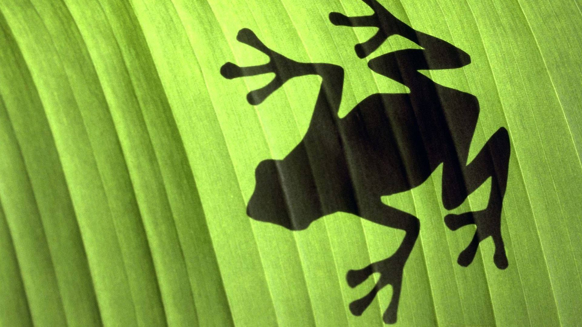 Kawaii Frog Shadow Wallpaper