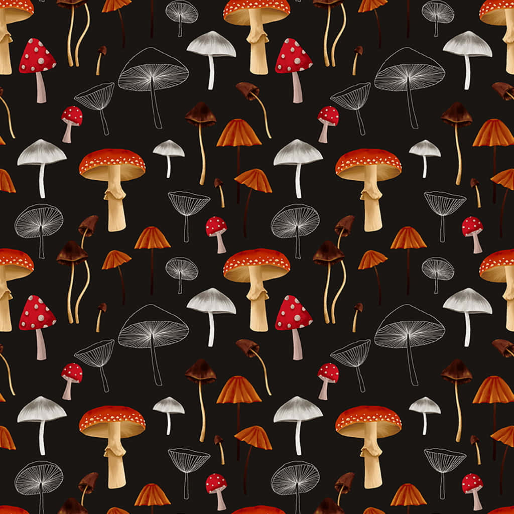 Adorable Kawaii Mushroom Illustration Wallpaper