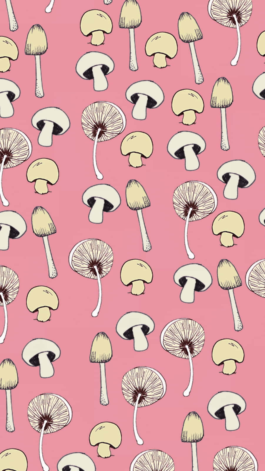 A cute Kawaii mushroom illustration in a magical, enchanting forest Wallpaper