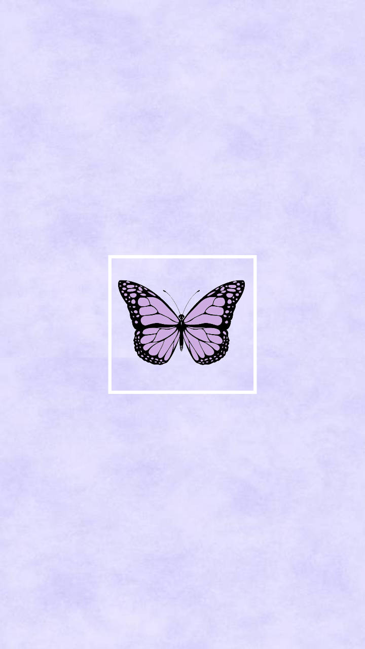 Kawaii Purple Butterfly Wallpaper