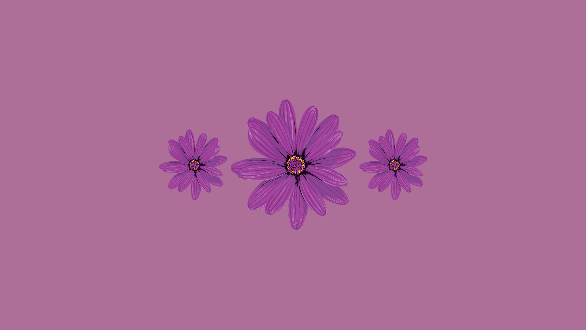 Kawaii Purple Daisies Wallpaper