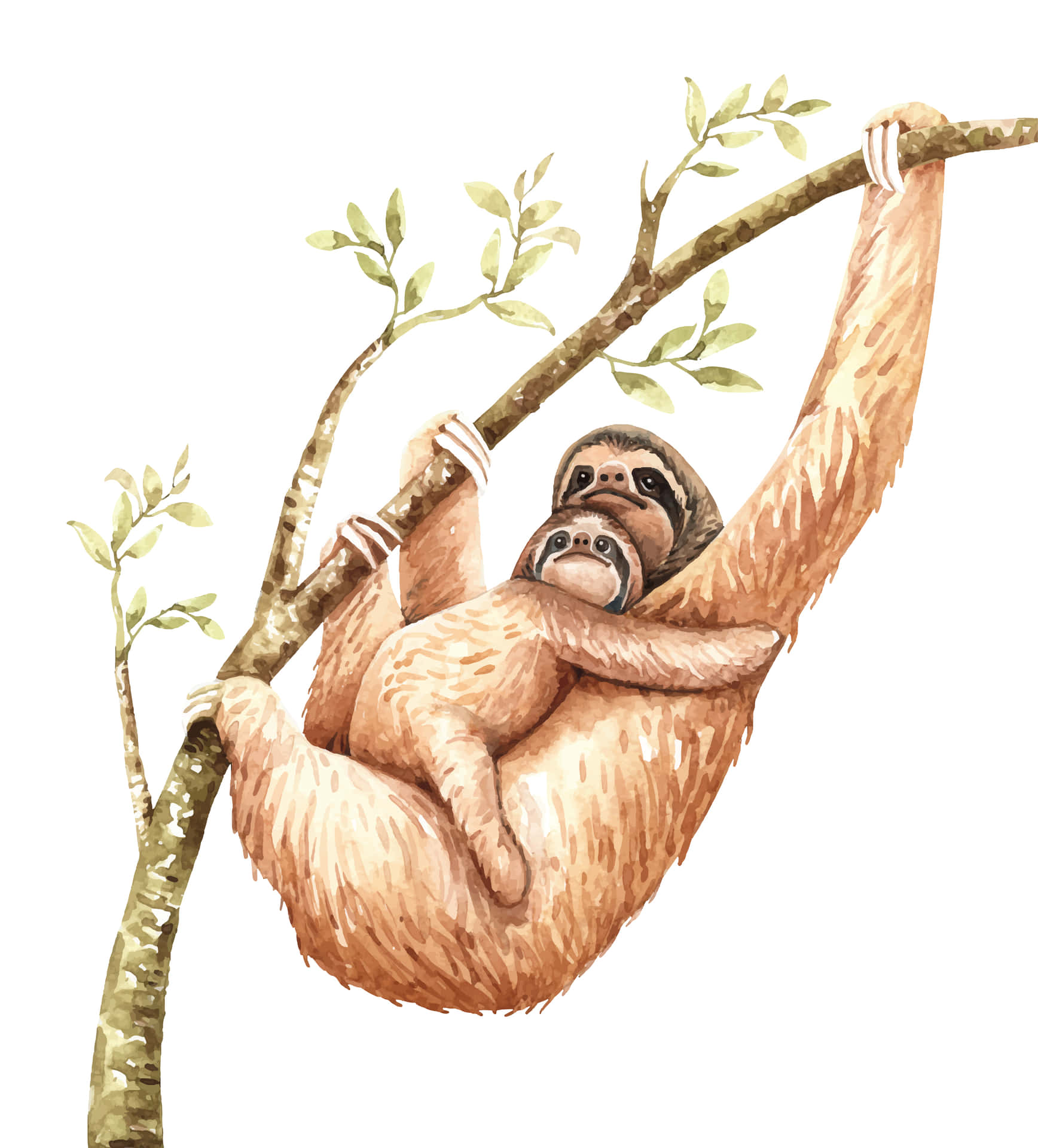 Adorable Kawaii Sloth Hanging on a Branch Wallpaper