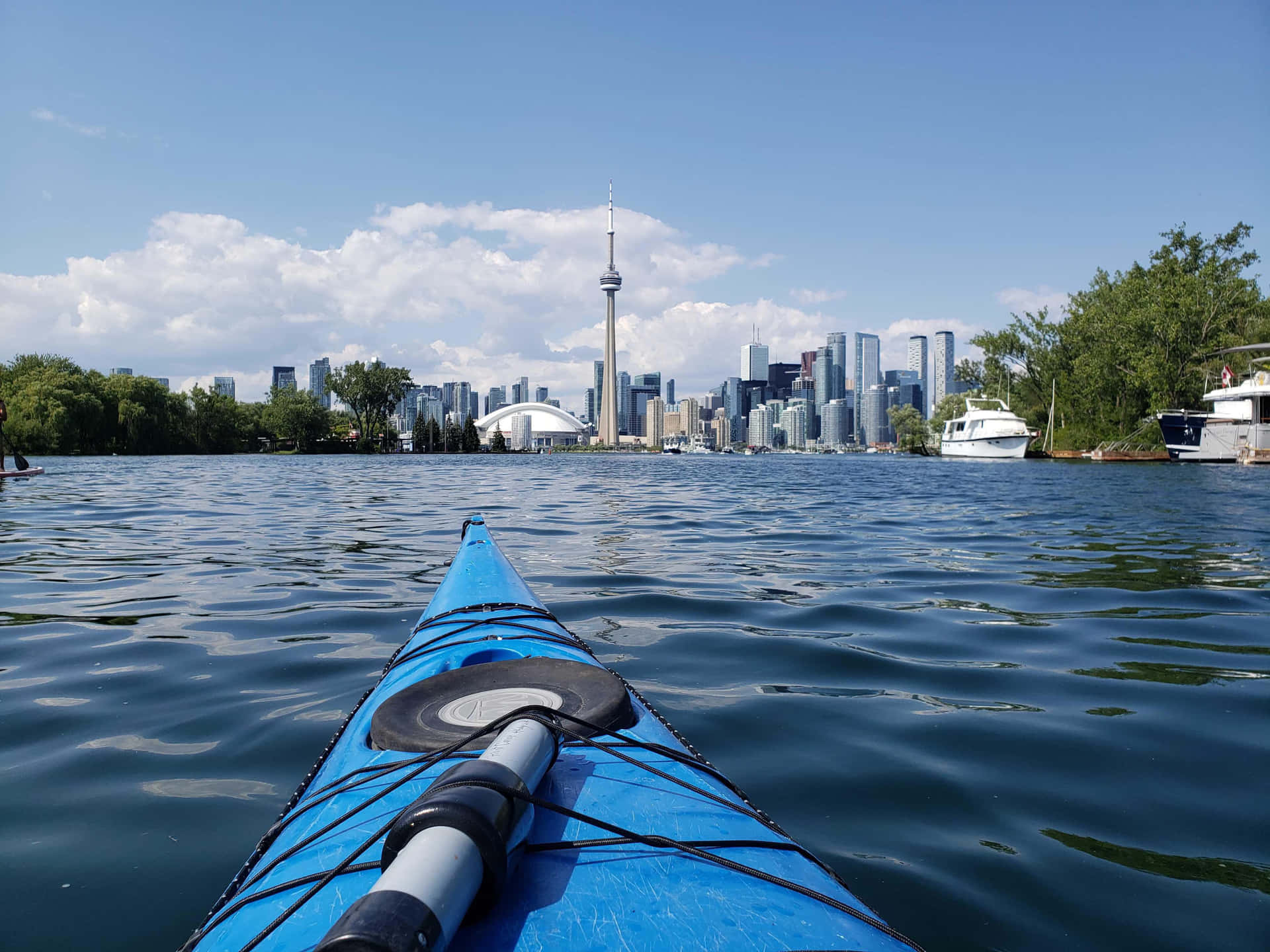 Kajakken Toronto Skyline Uitzicht Achtergrond