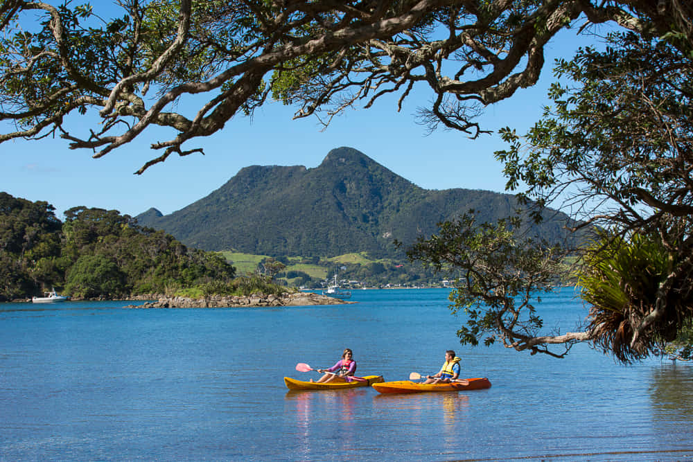 Kayakingin Whangarei Harbour New Zealand Wallpaper